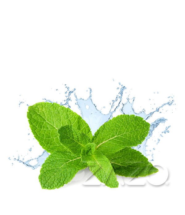 Fresh Mint Liquid Zazo