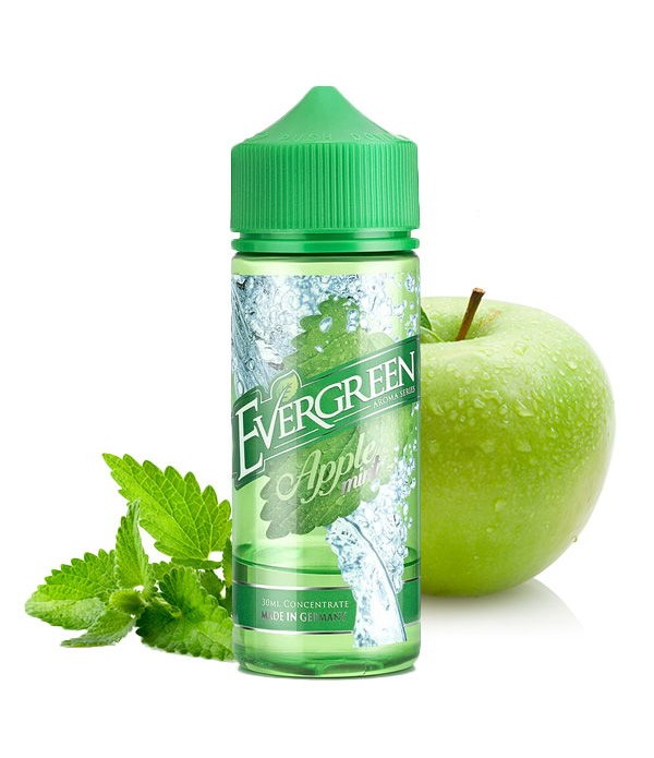 Apple Mint Aroma Evergreen